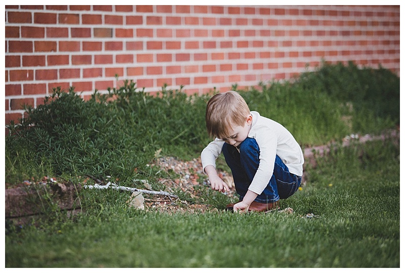 little boy digging in dirt - Honaker Virginia backyard family photo shoot