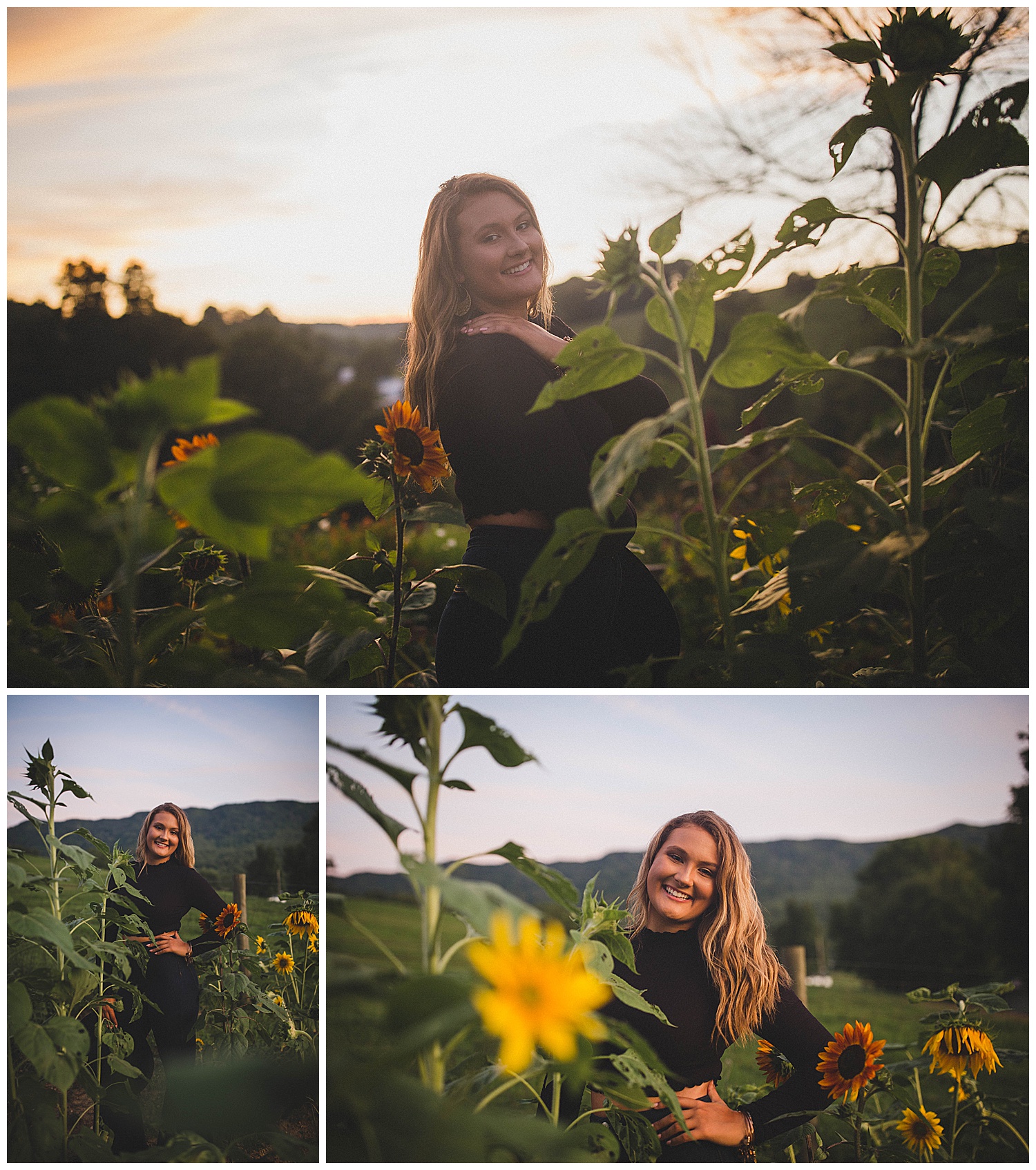 Sunflowers and sunset senior photography session, Southwest Virginia 