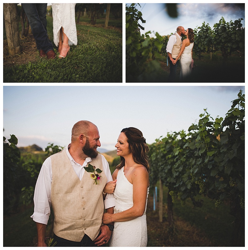 bride and groom posing in between the rows of vines in vincent's vineyard